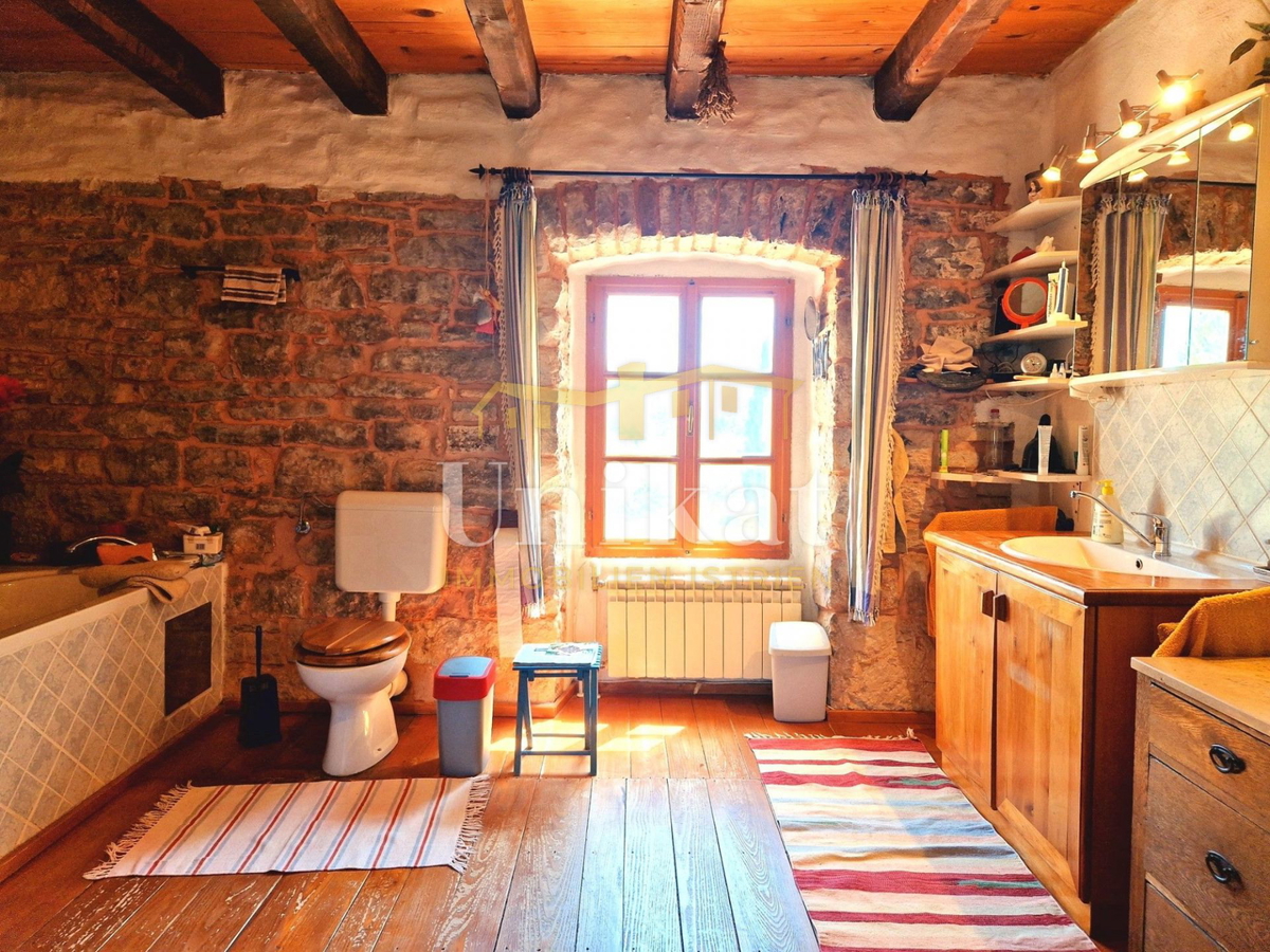 Avtentično posestvo s kamnito hišo in velikim zemljiščem